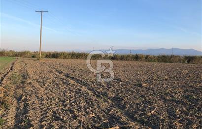 BAYINDIR ÇIRPI DA SATILIK İMARA YAKIN YATIRIMLIK TARLA