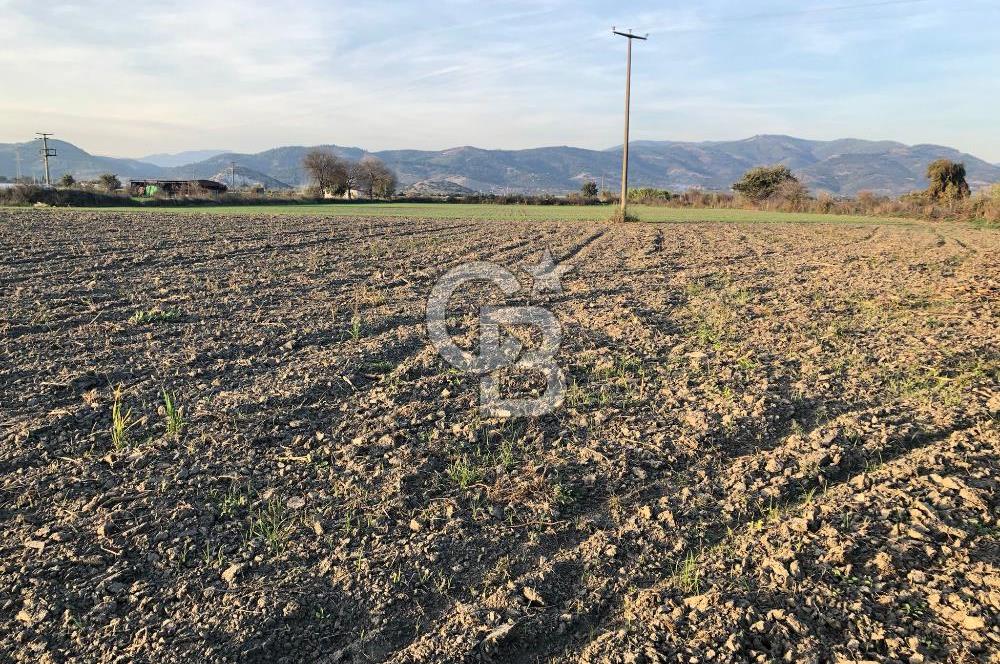 BAYINDIR ÇIRPI DA SATILIK İMARA YAKIN YATIRIMLIK TARLA