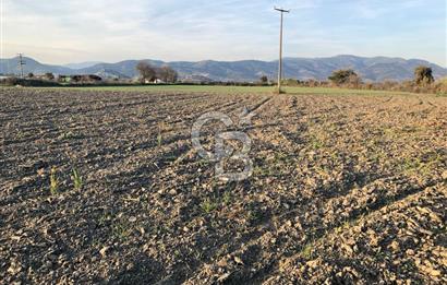 BAYINDIR ÇIRPI DA SATILIK İMARA YAKIN YATIRIMLIK TARLA
