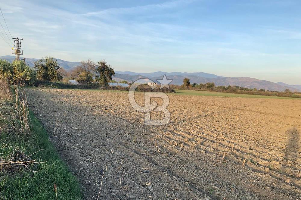 BAYINDIR ÇIRPI DA SATILIK İMARA YAKIN YATIRIMLIK TARLA