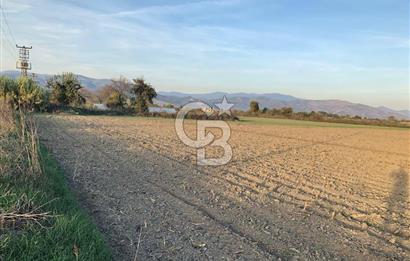 BAYINDIR ÇIRPI DA SATILIK İMARA YAKIN YATIRIMLIK TARLA