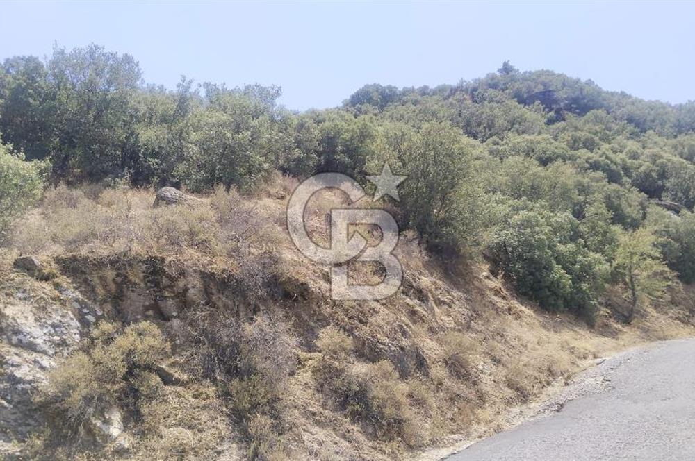 YATAĞAN YAVA KÖYÜNDE 19.258 M2 FIRSAT TARLA