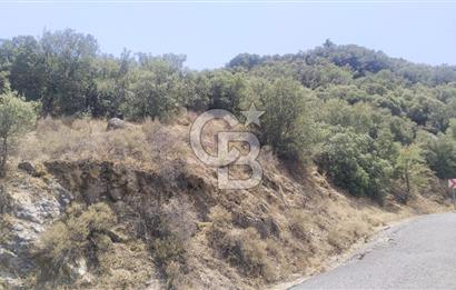 YATAĞAN YAVA KÖYÜNDE 19.258 M2 FIRSAT TARLA