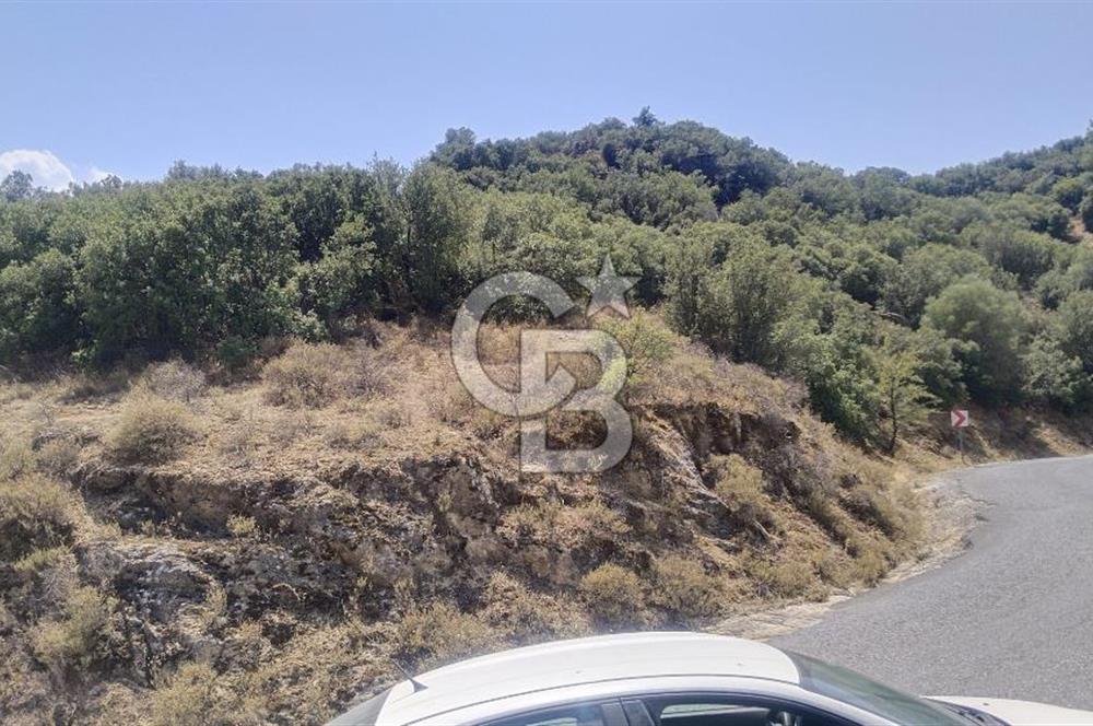 YATAĞAN YAVA KÖYÜNDE 19.258 M2 FIRSAT TARLA