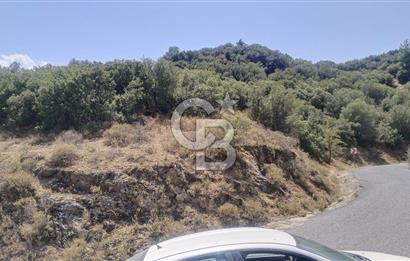 YATAĞAN YAVA KÖYÜNDE 19.258 M2 FIRSAT TARLA