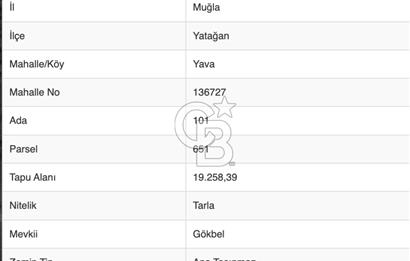 YATAĞAN YAVA KÖYÜNDE 19.258 M2 FIRSAT TARLA