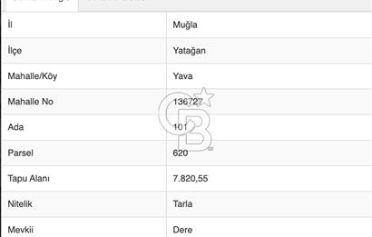 YATAĞAN YAVA KÖYÜNDE 7.820 M2 TARLA