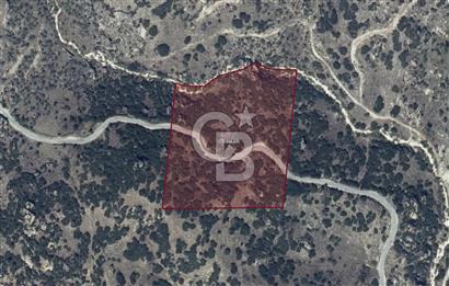 YATAĞAN YAVA KÖYÜNDE 19.258 M2 FIRSAT TARLA