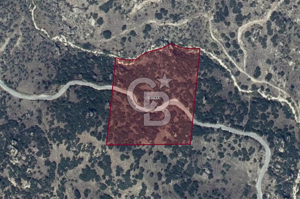 YATAĞAN YAVA KÖYÜNDE 19.258 M2 FIRSAT TARLA