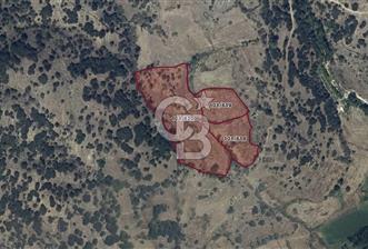 YATAĞAN YAVA KÖYÜNDE 2.328 M2 FIRSAT TARLA - 2 - 315043