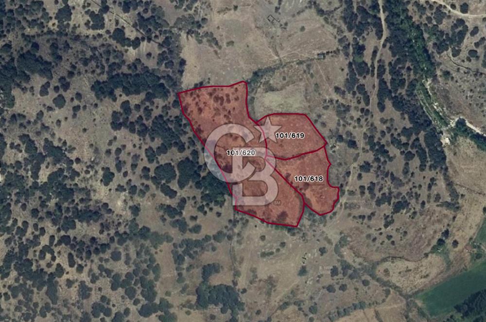 YATAĞAN YAVA KÖYÜNDE 7.820 M2 TARLA