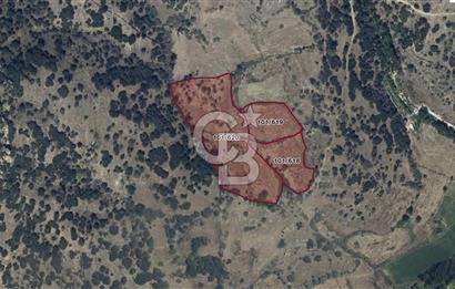 YATAĞAN YAVA KÖYÜNDE 7.820 M2 TARLA