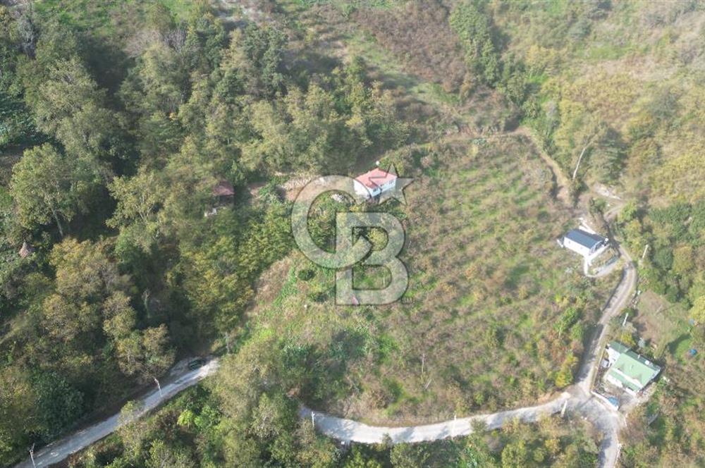 AKÇAABAT ADACIK'TA SATILIK 3.654 m2 İMARLI FIRSAT ARSA