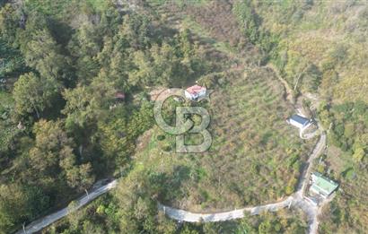AKÇAABAT ADACIK'TA SATILIK 3.654 m2 İMARLI FIRSAT ARSA