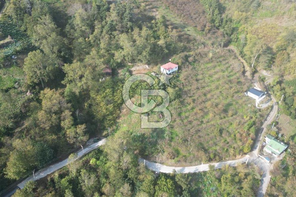 AKÇAABAT ADACIK'TA SATILIK 3.654 m2 İMARLI FIRSAT ARSA