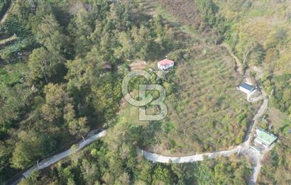 AKÇAABAT ADACIK'TA SATILIK 3.654 m2 İMARLI FIRSAT ARSA