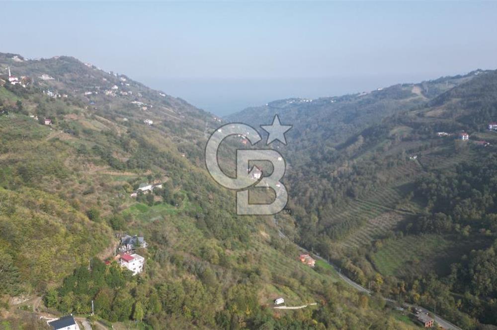 AKÇAABAT ADACIK'TA SATILIK 3.654 m2 İMARLI FIRSAT ARSA