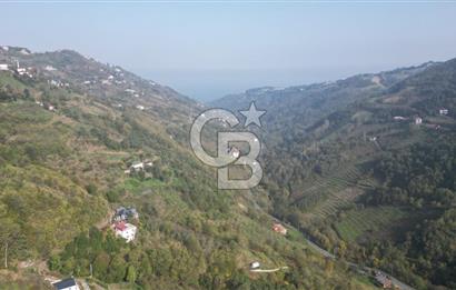 AKÇAABAT ADACIK'TA SATILIK 3.654 m2 İMARLI FIRSAT ARSA