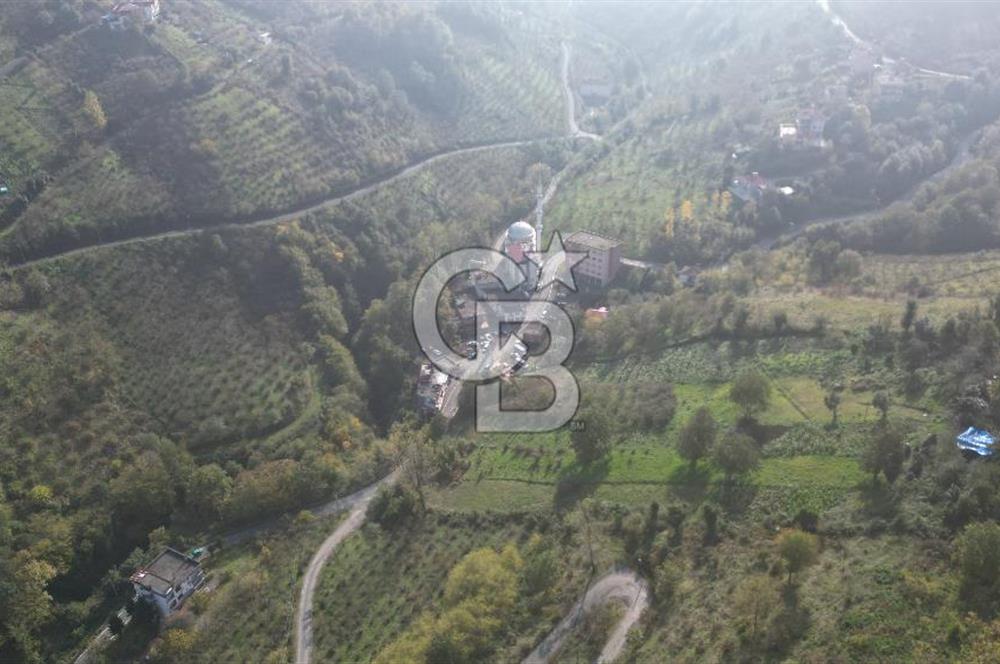 AKÇAABAT ADACIK'TA SATILIK 3.654 m2 İMARLI FIRSAT ARSA