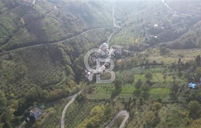 AKÇAABAT ADACIK'TA SATILIK 3.654 m2 İMARLI FIRSAT ARSA