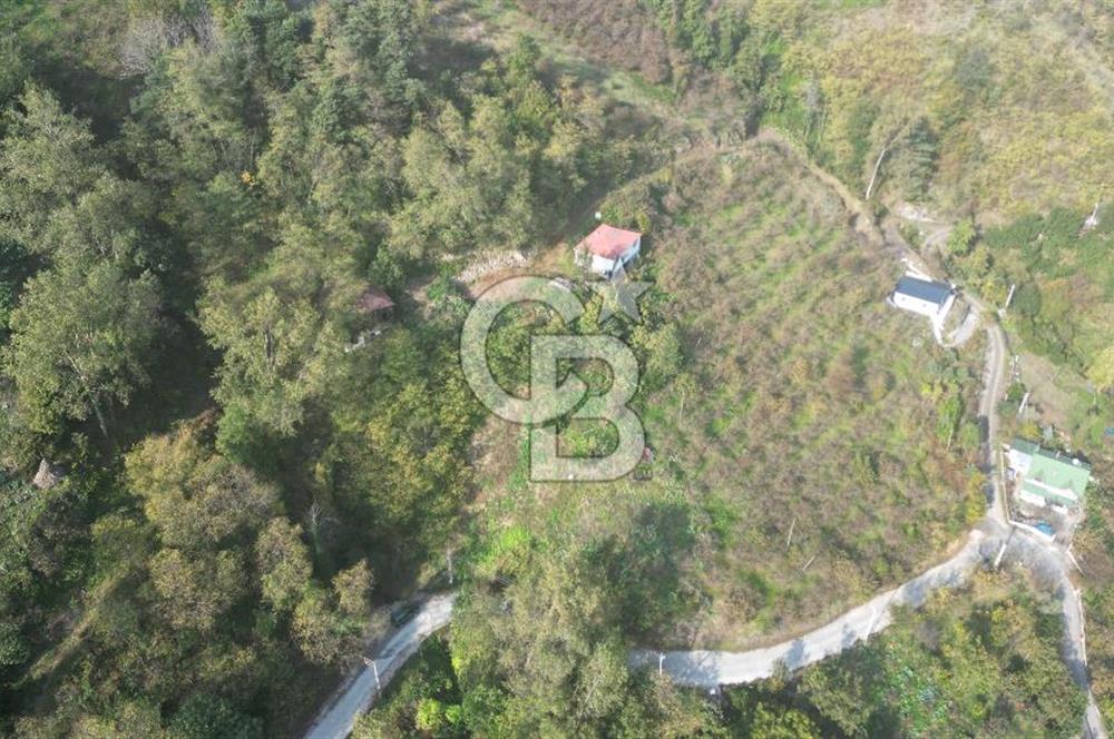 AKÇAABAT ADACIK'TA SATILIK 3.654 m2 İMARLI FIRSAT ARSA