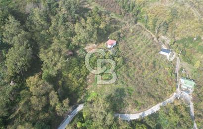AKÇAABAT ADACIK'TA SATILIK 3.654 m2 İMARLI FIRSAT ARSA