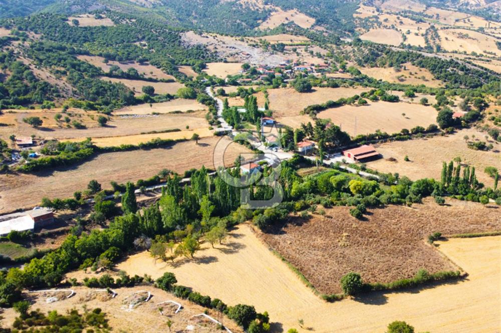 Çanakkale Ayvacık Pırnardere 9972m² Projelik Satılık İmarlı Arsa