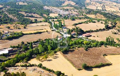 Çanakkale Ayvacık Pırnardere 9972m² Projelik Satılık İmarlı Arsa