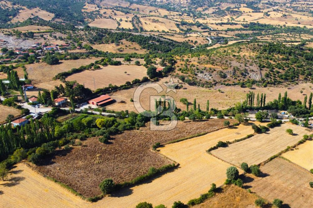 Çanakkale Ayvacık Pırnardere 9972m² Projelik Satılık İmarlı Arsa