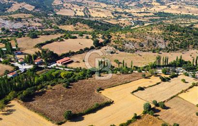 Çanakkale Ayvacık Pırnardere 9972m² Projelik Satılık İmarlı Arsa