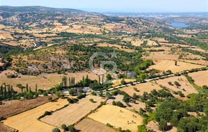 Çanakkale Ayvacık Pırnardere 9972m² Projelik Satılık İmarlı Arsa