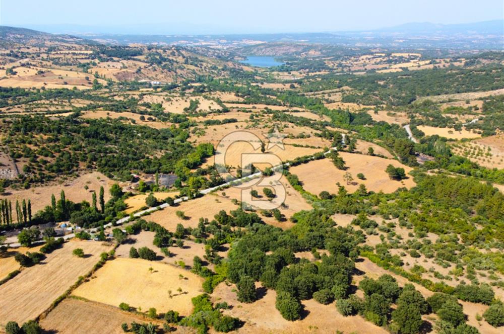 Çanakkale Ayvacık Pırnardere 9972m² Projelik Satılık İmarlı Arsa