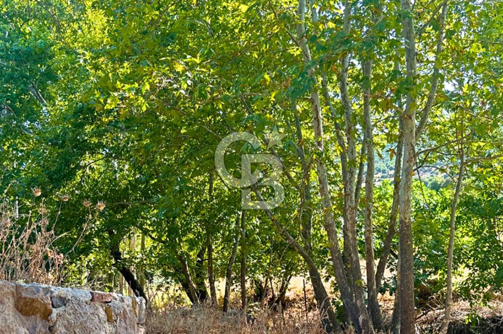 Çanakkale Ayvacık Pırnardere 9972m² Projelik Satılık İmarlı Arsa