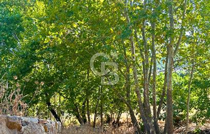 Çanakkale Ayvacık Pırnardere 9972m² Projelik Satılık İmarlı Arsa