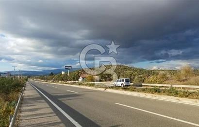 Milas Anayol Cepheli Satılık Zeytinlik