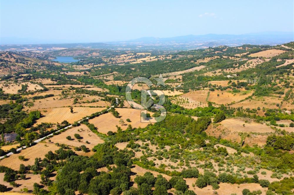 Çanakkale Ayvacık Pırnardere 9972m² Projelik Satılık İmarlı Arsa