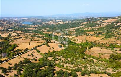 Çanakkale Ayvacık Pırnardere 9972m² Projelik Satılık İmarlı Arsa