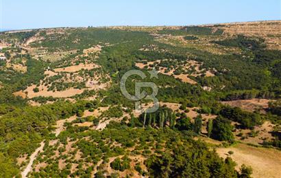 Çanakkale Ayvacık Pırnardere 9972m² Projelik Satılık İmarlı Arsa