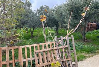 Tekirdağ Şarköy Yukarıkalamış Köyünde Müstakil Ev Fırsatı! - 1 - 315074