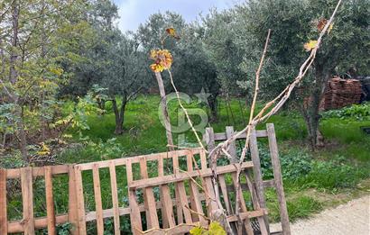 Tekirdağ Şarköy Yukarıkalamış Köyünde Müstakil Ev Fırsatı!