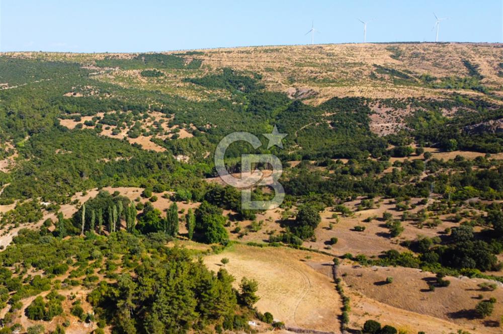 Çanakkale Ayvacık Pırnardere 9972m² Projelik Satılık İmarlı Arsa