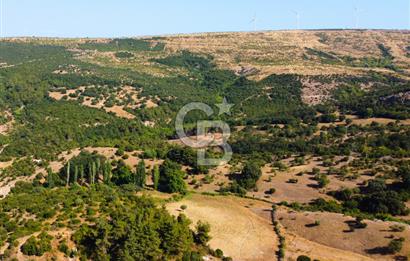 Çanakkale Ayvacık Pırnardere 9972m² Projelik Satılık İmarlı Arsa