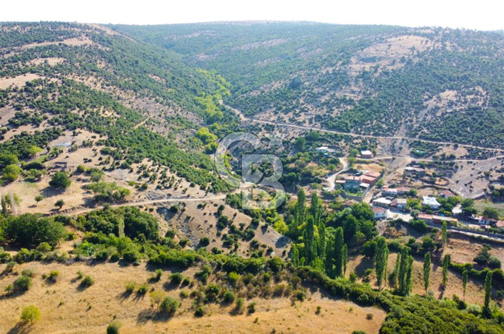 Çanakkale Ayvacık Pırnardere 9972m² Projelik Satılık İmarlı Arsa