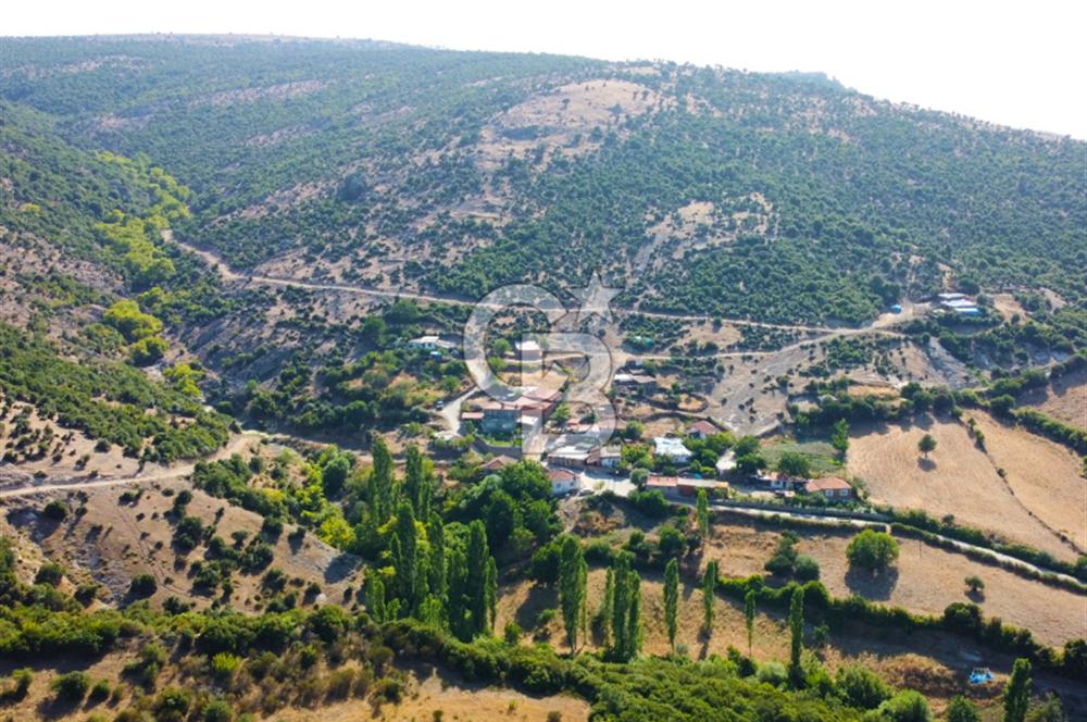 Çanakkale Ayvacık Pırnardere 9972m² Projelik Satılık İmarlı Arsa