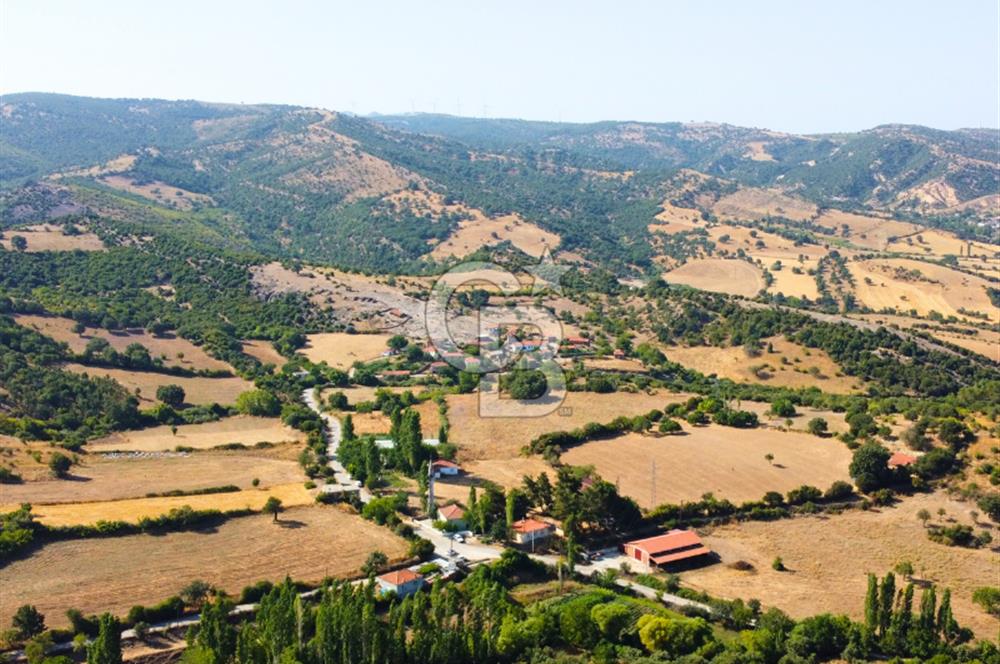 Çanakkale Ayvacık Pırnardere 9972m² Projelik Satılık İmarlı Arsa