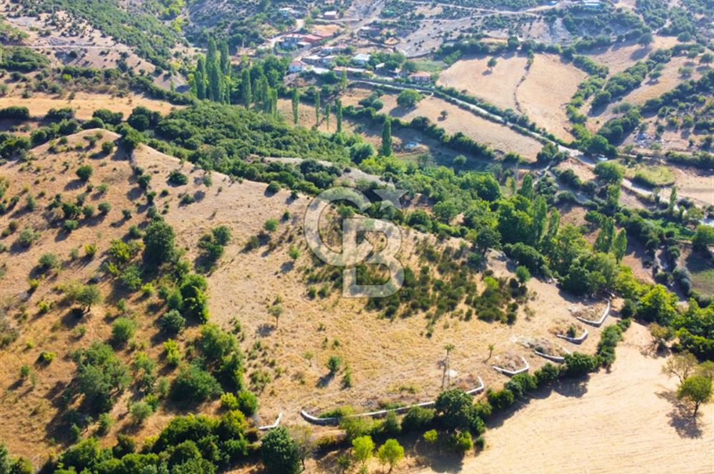 Çanakkale Ayvacık Pırnardere 9972m² Projelik Satılık İmarlı Arsa