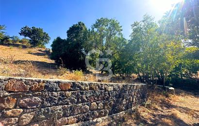 Çanakkale Ayvacık Pırnardere 9972m² Projelik Satılık İmarlı Arsa