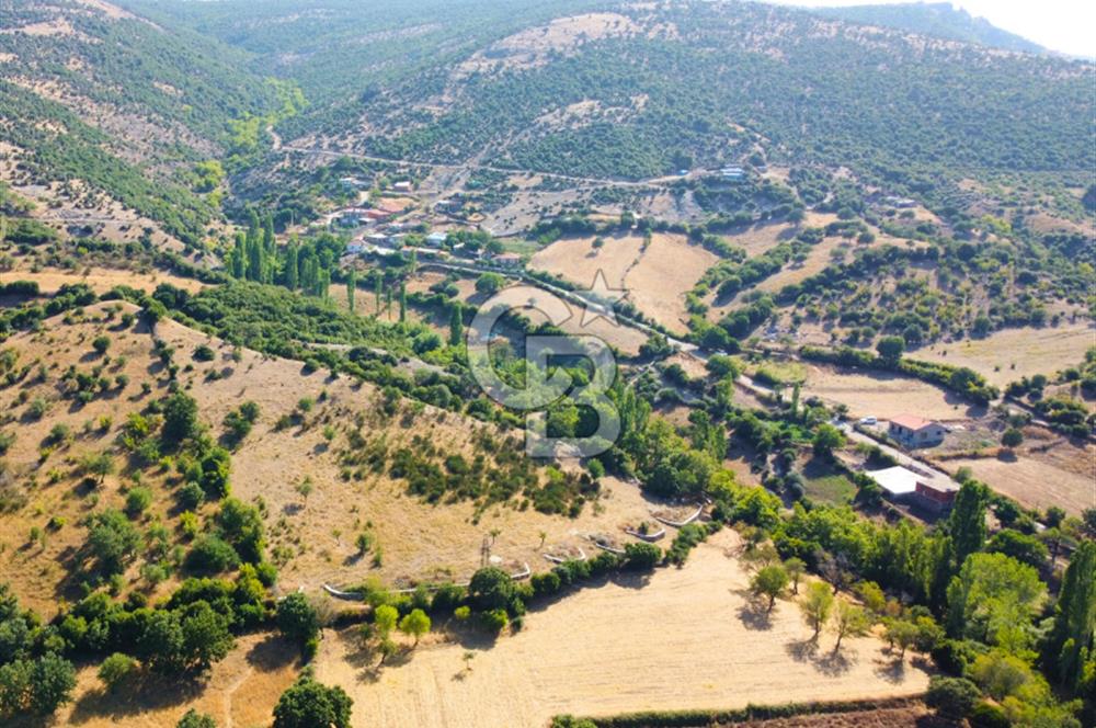 Çanakkale Ayvacık Pırnardere 9972m² Projelik Satılık İmarlı Arsa