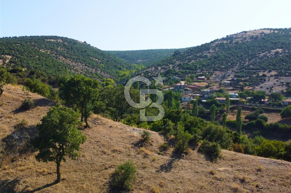 Çanakkale Ayvacık Pırnardere 9972m² Projelik Satılık İmarlı Arsa