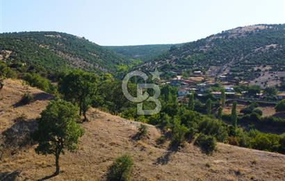 Çanakkale Ayvacık Pırnardere 9972m² Projelik Satılık İmarlı Arsa